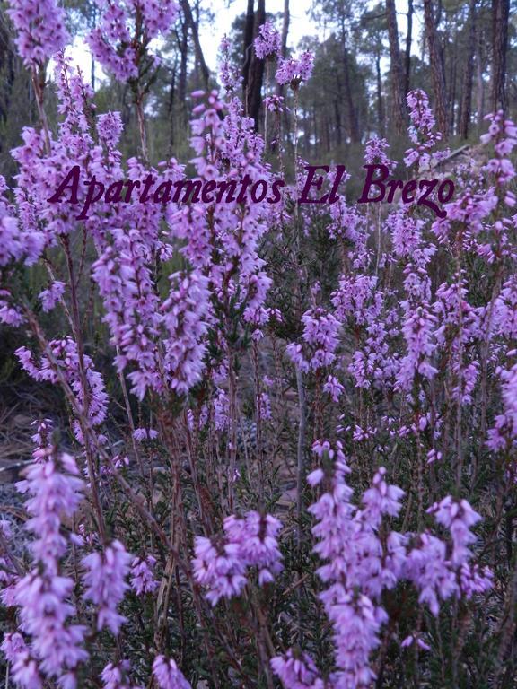 Apartamentos El Brezo Albarracin Ruang foto