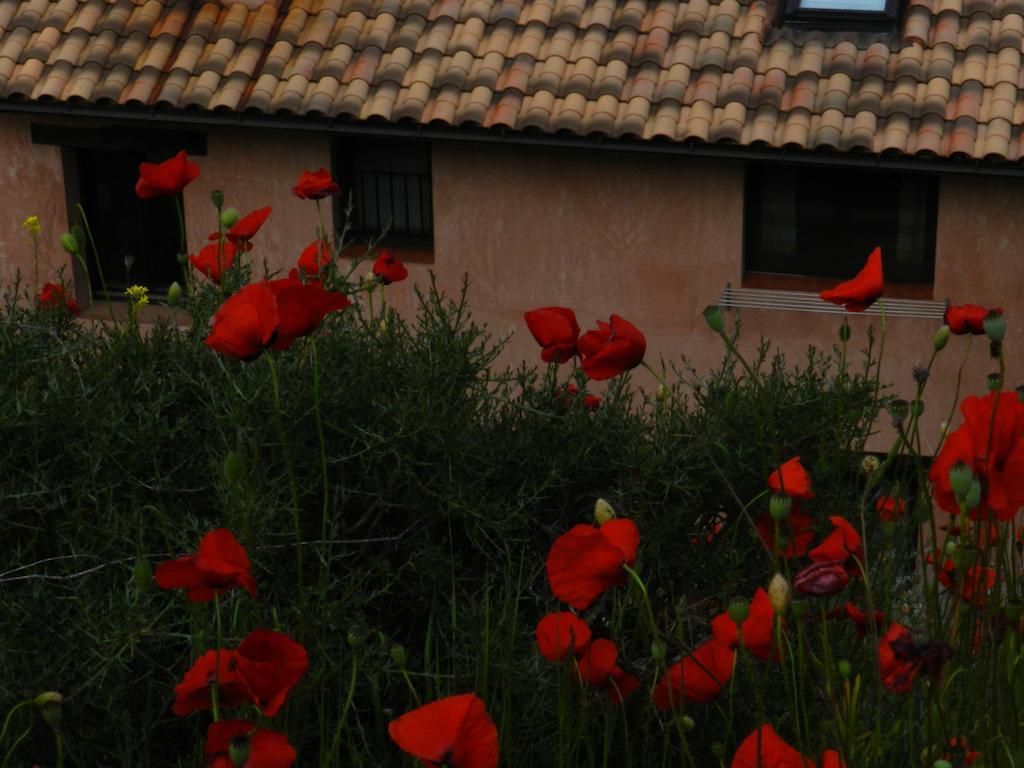 Apartamentos El Brezo Albarracin Ruang foto